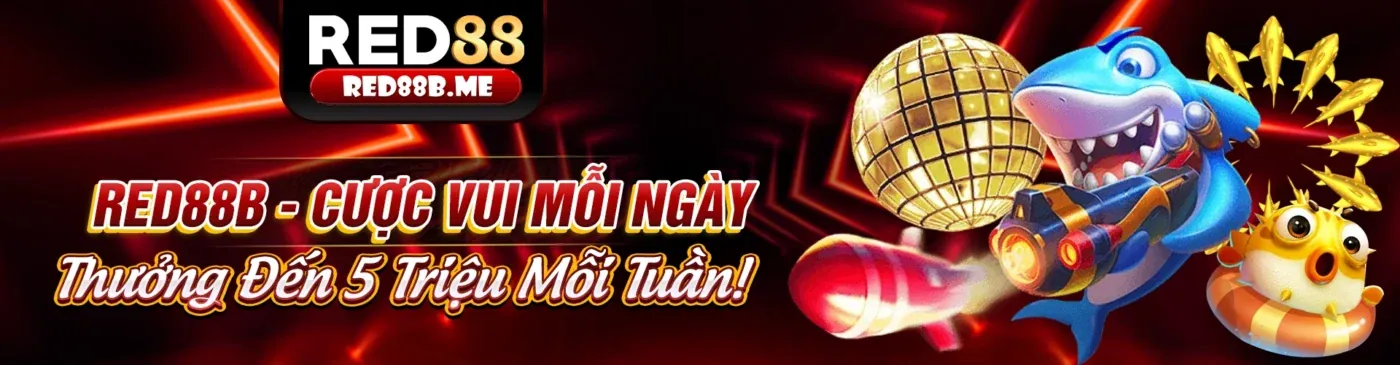 Điều khoản Dịch vụ w88hanoi win - Nền tảng cá cược trực tuyến an toàn