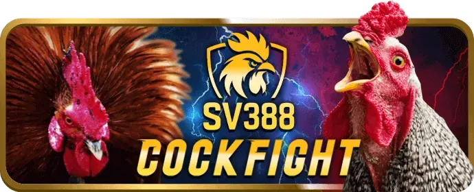 Thưởng Chào Mừng Thành Viên Mới tại W88Hanoi Win